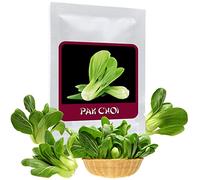 Lattuga asiatica Pak Choi 100 semi (Brassica rapa) - la verdura perfetta per la cucina asiatica