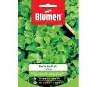 LATTUGA BARBA DEI FRATI BLUMEN SEMENTI ORTO