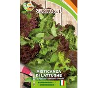 Lattuga Misticanza - Semi di Lattuga Mista con Foglie Verdi e Rosse, Ideale per Insalate Leggere, Facile Coltivazione 1 confezione