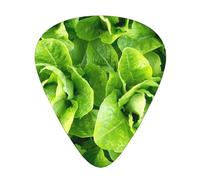 Lattuga romana fresca,12 pezzi di plettri per chitarra, 3 plettri di diverso spessore per chitarra acustica, basso, ukulele