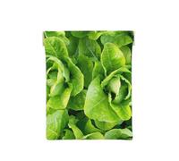 Lattuga romana fresca, Spremere il portafoglio superiore da donna Borsa portaoggetti Piccola portamonete Portamonete