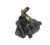 LAUBER 55.0217 Pompa idraulica, Sterzo per FORD