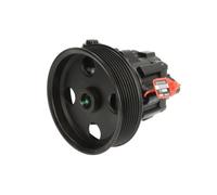 Pompa servosterzo idraulico con puleggia cinghia Poly-V 55.2906 LAUBER