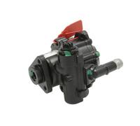 LAUBER 55.4271 Pompa idraulica, sterzo