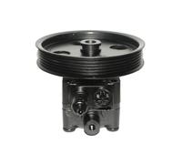 LAUBER 55.9682 servo pompa idraulica pompa idraulica