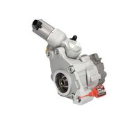 LAUBER 55.9904 Pompa idraulica, Sterzo per AUDI