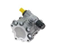 LAUBER Pompa Idraulica Servopumpe Adatto A per BMW 3er Touring E91 1er E81 E87