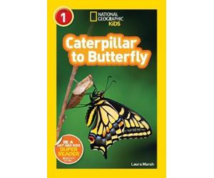 Laura Marsh Caterpillar to Butterfly (National Geographic Kid (Copertina rigida)