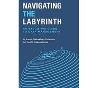 Laura Sebastian-Coleman Navigating the Labyrinth (Tascabile)