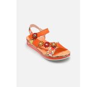 Laura Vita - Brcuelo 81 Arancione - Sandali e scarpe aperte 37 Arancione