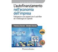 L'autofinanziamento nell'economia dell'impresa. Fattispecie e suoi rapporti con il cash flow ed il fabbisogno di capitale