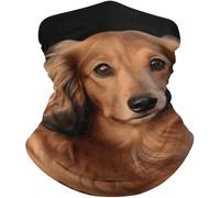 Lavabile Fascia per Capelli,Long Haired Dachshund,Decorazione facciale Elastico Bandana per Yoga Escursionismo Ciclismo 26X30cm