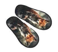 Lavabile Scarpe Da Casa Fox Sitting On Ground House Shoes Caldo Ciabatte Calde Per Spa, Viaggi, Ospiti L