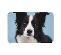 Lavabile Zerbino Entrata Border Collie Print Tappetini Da Bagno Classico Tappeto Doccia Per Bagno Ingresso Casa 40X60Cm