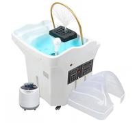 Lavabo Portatile For Capelli, Grande Serbatoio Dell'acqua Da 60 L, Telaio For Spa Con Testata Di Circolazione Dell'acqua, Fumigazione E Terapia Della Luce