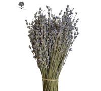 Lavanda Essiccata Greca Biologica certificata 1-22 mazzetti 32 cm | 2025