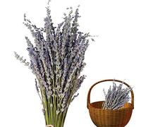 Lavanda essiccata, Mazzo di Lavanda essiccata Naturale, Lavanda immortale, Fiori di Lavanda Simbolo d'Amore Regalo Floreale Fai-da-Te Home Banchetto Decorazione di Nozze per Decorazione di Vaso