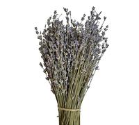 Lavanda Greca Essiccata Biologica Certificata 1-22 Mazzi Qualità Premium (3 mazzi)