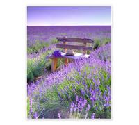 Lavanda Poster di Assaf Frank 30 x 40 cm Quadri Decorazione per pareti