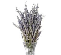 Lavanda Secca - Bouquet Di Fiori Di Lavanda | Elegante Disposizione Floreale | Elegante Vaso Di Fiori Secchi | Fiori Secchi Disposizione Fai -da -te Simbolo 'amore Per La Disposizione Dei Fi