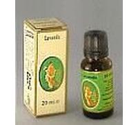 Olio essenziale Lavanda Vera Bio 10ml - Primavera
