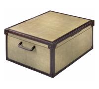 SCATOLA CON COPERCHIO BAULETTO CARONE SALVASPAZIO 40X50X25 CM ABITI VESTITI