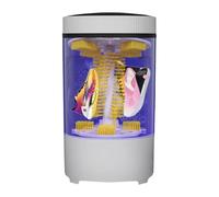 Lavatrice Mini scarpa lavatrice per scarpe pantofole per uso domestico piccola lavatrice lavatrice automatica lavatrice lavata scarpe scarpe scarpe scarpe scarpe scarpe scarpe scarpe scarpe scarpe sca