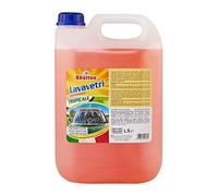 Lavavetri per Vaschette Tergicristalli, Pronto all'uso, Detergente Parabrezza, Elimina Insetti e Smog, Profumo Tropicale, Estivo, 5L
