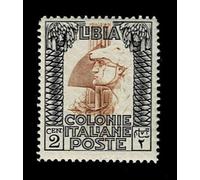 LaVecchiaScatola 1924 Libia 2cent Pittorica SAS.45 Nuovo MNH/**