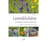 Lavendelschätze: Von Pflanzen, Düften und Menschen