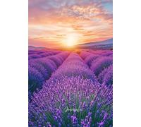 Lavender Dreams Journal: A Calming Writing Companion Inspired by Nature’s Beauty