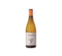 Laventura Malvasia 2024