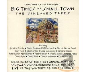 LAVIN, CHRISTINE - BIG TIMES IN A SMALL TOWN