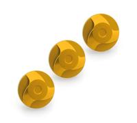 Lavitin Coperchio del filtro dell'aria compatibile con Xmax250 Xmax300 Viti filtro Viti motociclisti Coperchio esterno del coperchio esterno 2013-2024 (Gold)