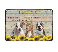 Lavoro d'arte in metallo per decorazione da parete Pitbull girasole This is Us A Little Bit of Crazy Retro Decor Dog Targa in metallo Vintage Home Decor Rustico Alluminio Tin Signs Wall Art Poster in