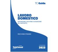 Lavoro domestico. Assunzione, gestione e cessazione del rapporto