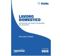 Lavoro domestico. Assunzione, gestione e cessazione del rapporto - Staiano...