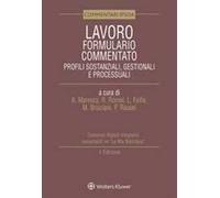 Lavoro. Formulario commentato. Profili sostanziali, gestionali e processuali