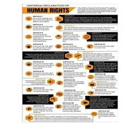 Law Office & Classroom Decor - Universal Declaration of Human Rights Canvas Print, Social Justice & Educational Wall Art(Unframed,16x24inch(40x60cm))