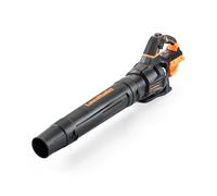 LawnMaster MX 24 V soffiatore a batteria con ventola assiale | Potente soffiatore da giardino - senza batteria agli ioni di litio e caricatore | 2 anni di garanzia