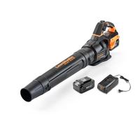 LawnMaster MX 24 V soffiatore di foglie a batteria con ventola assiale, potente