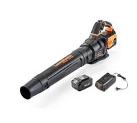 LawnMaster MX 24 V soffiatore di foglie a batteria con ventola assiale, potente soffiatore da giardino senza fili con batteria agli ioni di litio MX 24 V e caricatore