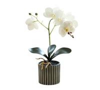 Lawnrden Fiori Artificiali In Vaso, Orchidea Artificiale 12, 6 Pollici Orchidea Realistica In Un Vaso Vero Tocco Decorativo Bonsai Fiori Per Centrotavola Soggiorno Decorazioni Per La Casa Bianco