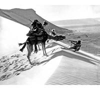 Lawrence D'Arabia [2011363] 8x10 Foto (Altre Misure Disponibile)