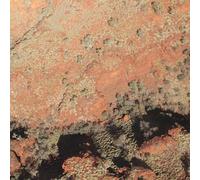 Lawrence English/Werner Dafeldecker Tropic of Capricorn (Vinyl LP)