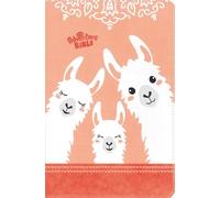 Lawrence O. Ric NIrV, Adventure Bible for Early Readers, (Rilegato in ecopelle)