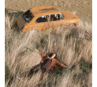 LAWRENCE ROTHMAN THE PLOW THAT BROKE THE PLAINS (Vinyl LP)