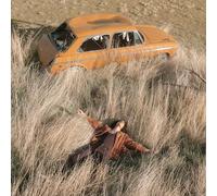 LAWRENCE ROTHMAN THE PLOW THAT BROKE THE PLAINS (Vinyl LP)