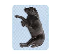 laxreheye Tappetino rinfrescante per cani | Tappetino rinfrescante per cuccioli | Coperta portatile per cuccioli di gattini amici pelosi casa facile da lavare uso interno esterno