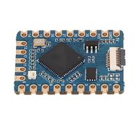 Lazmin112 RP2040 Tiny Development Board, FPC Dual Core Processor, con Sleep Mode, per C/C++, per Python, per Microcontroller Development Board